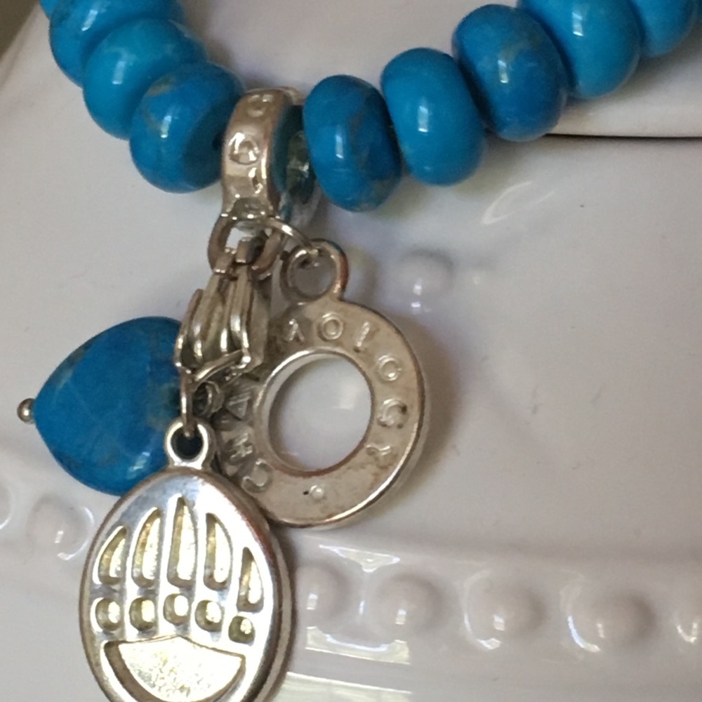 Turquoise Charmology Bracelet